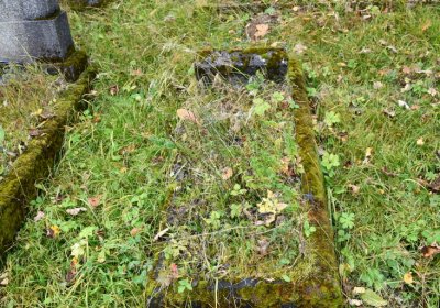 Černý Potok, Omnium, 2020