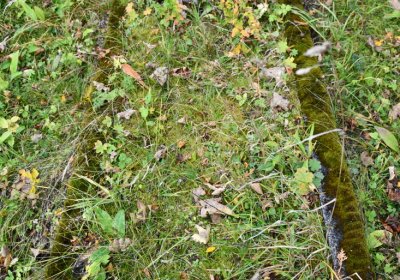 Černý Potok, Omnium, 2020