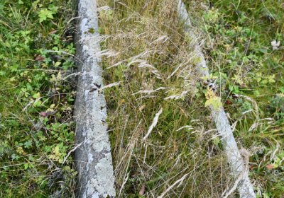 Černý Potok, Omnium, 2020