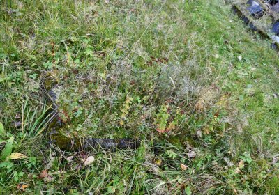 Černý Potok, Omnium, 2020