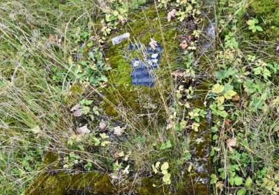 Černý Potok, Omnium, 2020