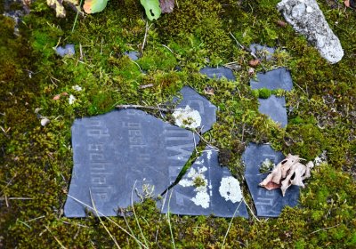 Černý Potok, Omnium, 2020