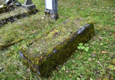 Černý Potok, Omnium, 2020