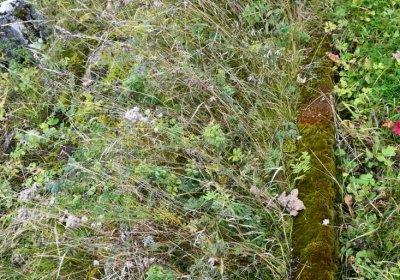 Černý Potok, Omnium, 2020