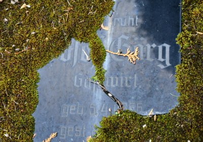 Černý Potok, Omnium, 2020