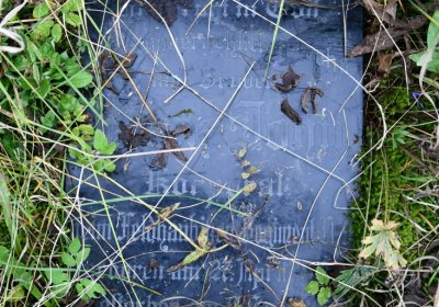 Černý Potok, Omnium, 2020