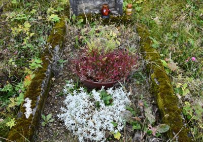 Černý Potok, Omnium, 2020