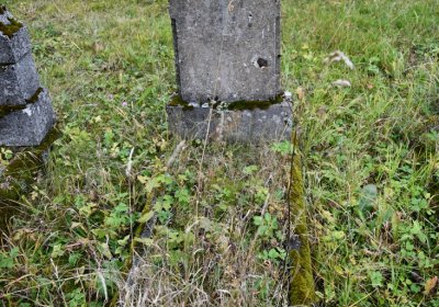 Černý Potok, Omnium, 2020