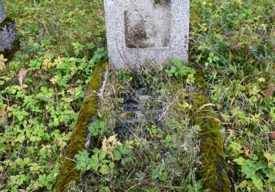 Černý Potok, Omnium, 2020