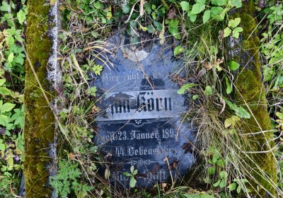 Černý Potok, Omnium, 2020