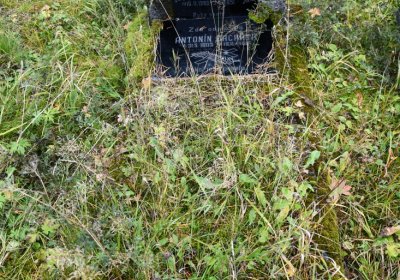 Černý Potok, Omnium, 2020