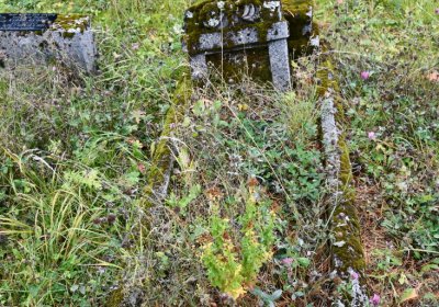 Černý Potok, Omnium, 2020