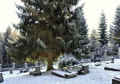 Sedláček Hugo, 2016