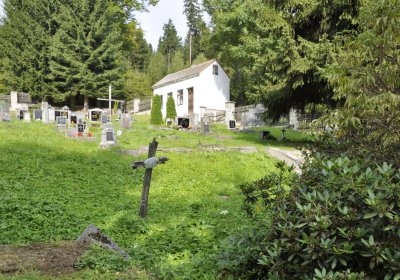 Sedláček Hugo, 2016