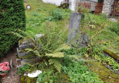 Kryštofovy Hamry, Omnium, 2020