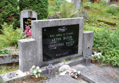 Kryštofovy Hamry, Omnium, 2020