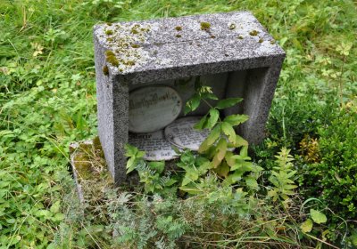 Kryštofovy Hamry, Omnium, 2020