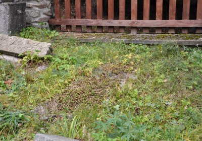 Kryštofovy Hamry, Omnium, 2020