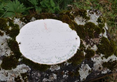 Kryštofovy Hamry, Omnium, 2020