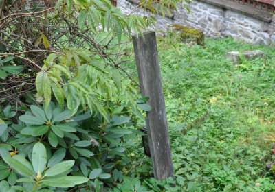 Kryštofovy Hamry, Omnium, 2020