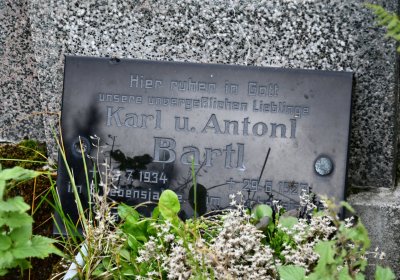 Kryštofovy Hamry, Omnium, 2020