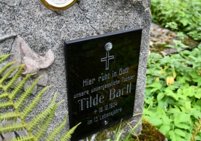 Kryštofovy Hamry, Omnium, 2020