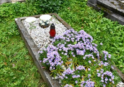 Kryštofovy Hamry, Omnium, 2020