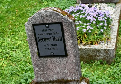 Kryštofovy Hamry, Omnium, 2020