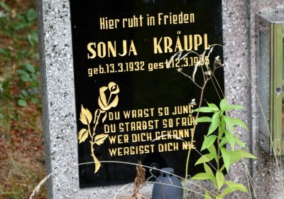 Kryštofovy Hamry, Omnium, 2020