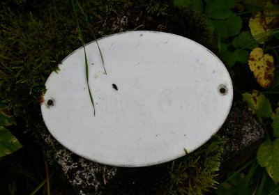 Kryštofovy Hamry, Omnium, 2020