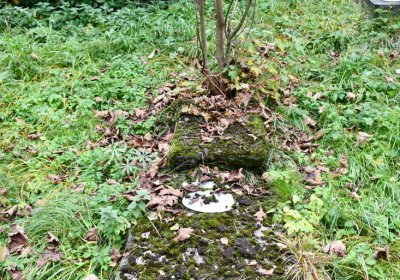 Kryštofovy Hamry, Omnium, 2020