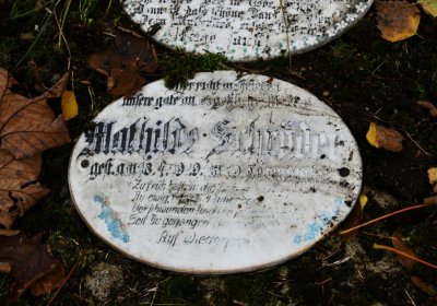 Kryštofovy Hamry, Omnium, 2020