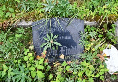 Kryštofovy Hamry, Omnium, 2020