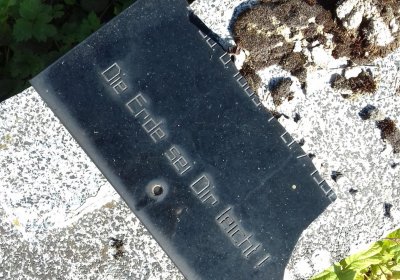 Kmínek Michal, 2019