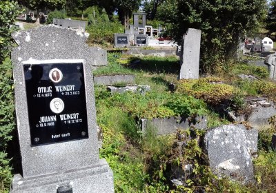 Kmínek Michal, 2019