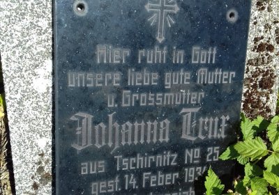 Kmínek Michal, 2019