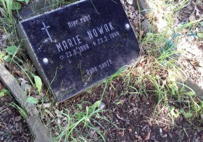 Kmínek Michal, 2019