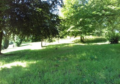 Kmínek Michal, 2019