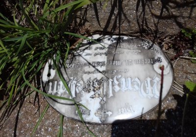 Kmínek Michal, 2019