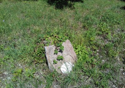 Kmínek Michal, 2019