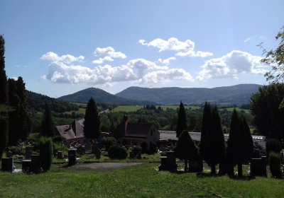 Kmínek Michal, 2019