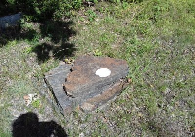 Kmínek Michal, 2019