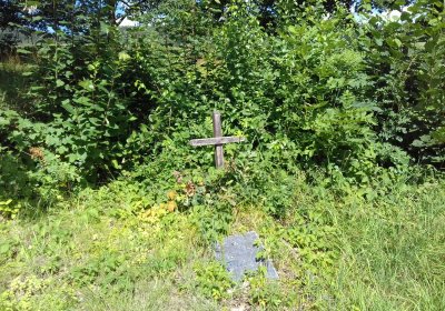 Kmínek Michal, 2019