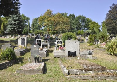 Sedláček Hugo, 2016