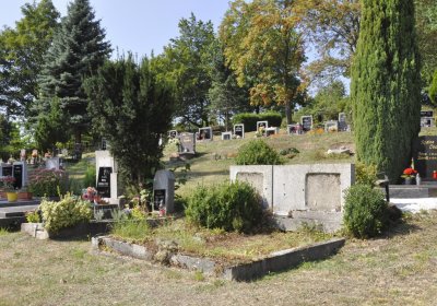 Sedláček Hugo, 2016