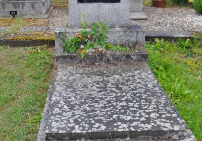 Perštejn, Omnium, 2020