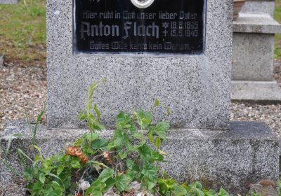 Perštejn, Omnium, 2020