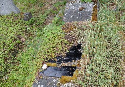 Perštejn, Omnium, 2020