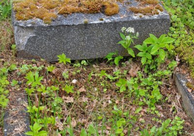 Perštejn, Omnium, 2020