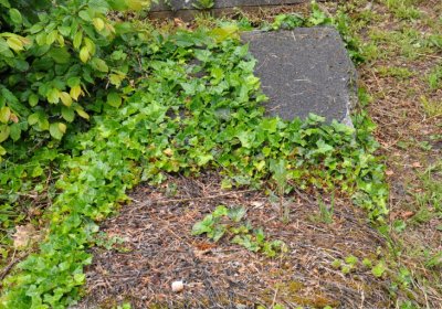 Perštejn, Omnium, 2020